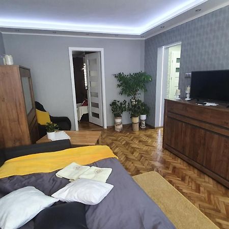 Apartament Park Saski ซานดอเมียร์ช ภายนอก รูปภาพ
