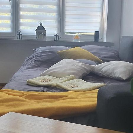 Apartament Park Saski ซานดอเมียร์ช ภายนอก รูปภาพ