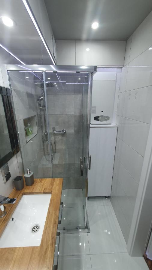 Apartament Park Saski ซานดอเมียร์ช ภายนอก รูปภาพ