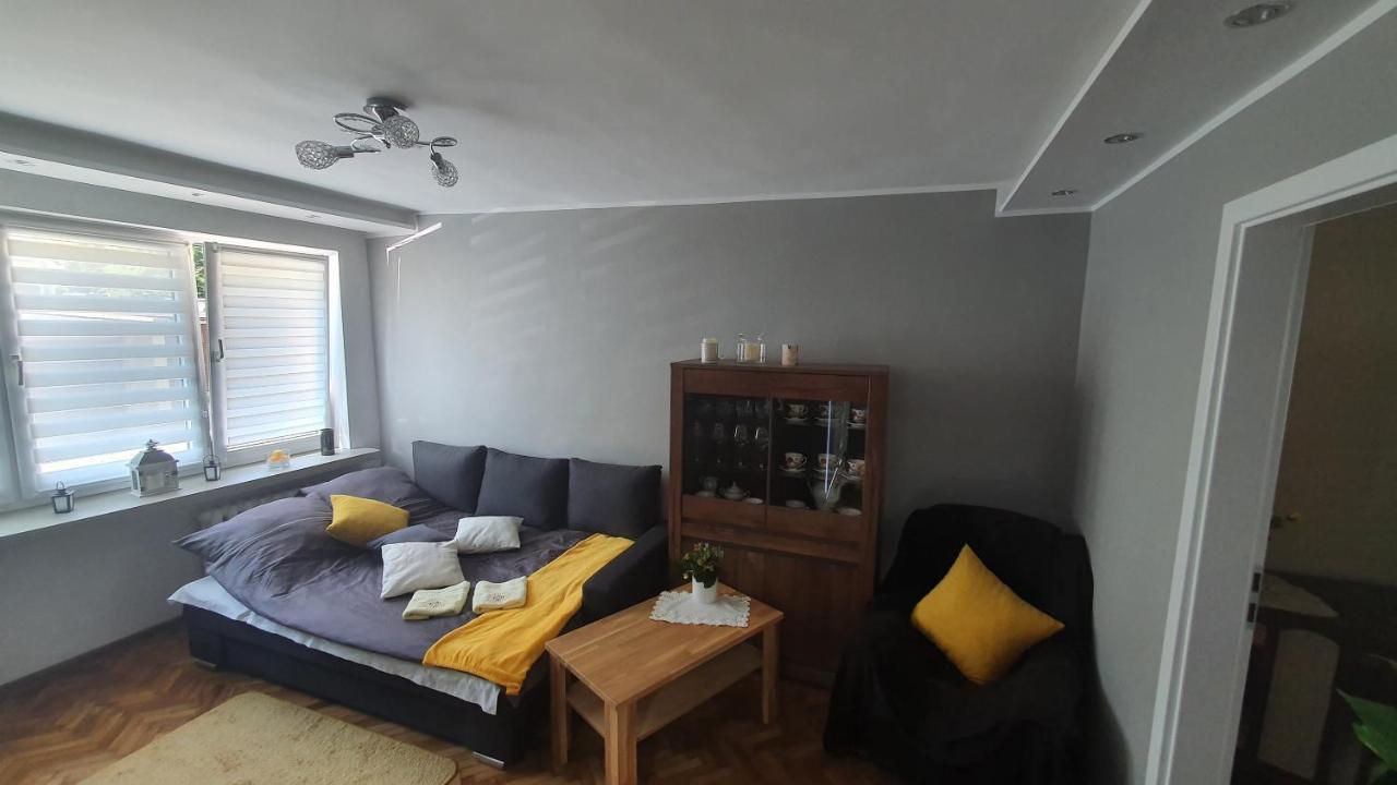 Apartament Park Saski ซานดอเมียร์ช ภายนอก รูปภาพ