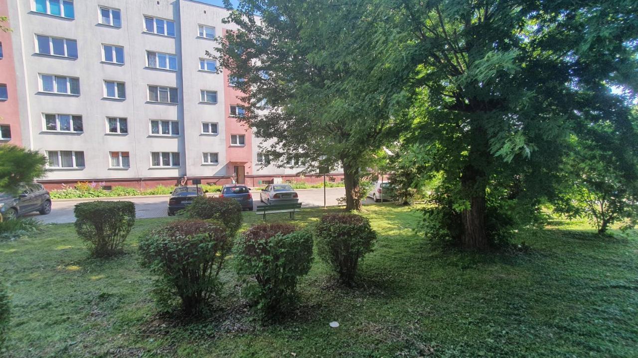 Apartament Park Saski ซานดอเมียร์ช ภายนอก รูปภาพ